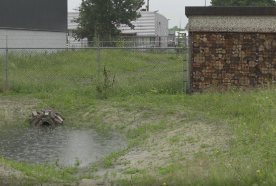 Wadi met insectenhotel bij Salomons Metalen